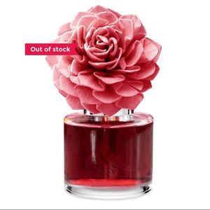 2 Pink Sunshine Fragrance Flower Dahlia